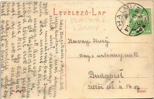 1911 Halmi, Halmeu; Fő tér. W.L. 1700. / main square