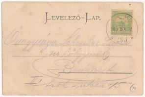 1905 Oravica, Oravita; Karana (Korona) szálloda, Josef Winter üzlete. Weisz Félix kiadása, montázs /...