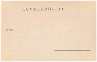 1899 (Vorläufer) Pozsony, Pressburg, Bratislava; árvíz / Hochwasser / flood. photo