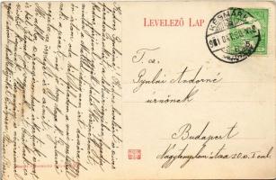 1911 Késmárk, Kezmarok; Wein Károly és Társai szövőgyár látképe, montázs. Valódi szepességi védjegy ...