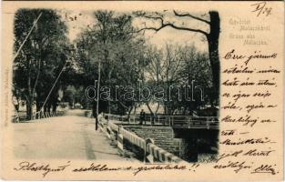 1901 Malacka, Malacky; sorompó a vasúti sínekkel, híd. Wiesner Alfréd kiadása / railway barrier and bridge