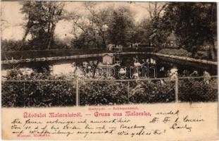 1899 (Vorläufer) Malacka, Malacky; Hattyú tó. Wiesner / Schwanenteich / Swan lake, pond