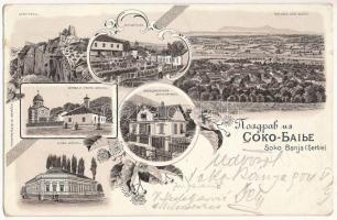1904 Sokobanja, Soko Banja; spa, new and old schools, church, summer villa of Stojan Zivadinovic. Art Nouveau, floral, litho (EK)