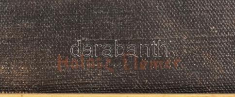 Halász-Hradil Elemér (1873-1948), 2 db mű: Nő és férfi portréja. Olaj, vászon. Férfi portré jelezve ...