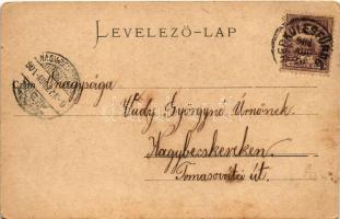 1901 Herkulesfürdő, Baile Herculane; vízesés. R. Krizsány kiadása / Wasserfall / waterfall (kis szak...