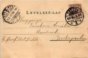 1901 Sopron, M. kir. honvéd főreáliskola, tornacsapat akrobatikus mutatványa. Stagl F. fényképész, A...