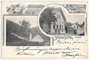 1899 (Vorläufer) Sopron, Brennbergbánya, Florian Tömer vendéglője / Gasthaus. F. Schöler Art Nouveau, floral