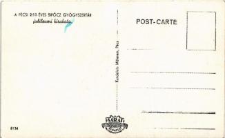 Pécs, A 250 éves Sipőcz gyógyszertár jubileumi kirakata. Kundelein Műterem