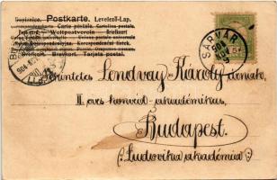 1904 Sárvár, Uradalmi gőztéglagyár. Stranz János kiadása