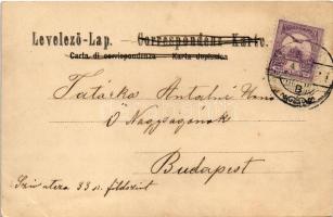 1901 Fiume, Rijeka; Corso, Hafenpartie. A. Rosenblatt Art Nouveau, floral, litho