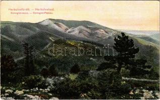 Herkulesfürdő, Baile Herculane; Domoglet-csúcs / Domoglet-Plateau / peak (fa)
