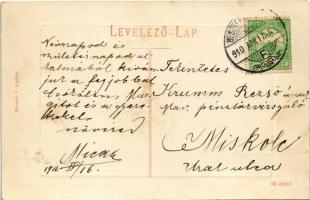 1910 Besztercebánya, Banská Bystrica; IV. Béla király tér. Machold F. kiadása / square