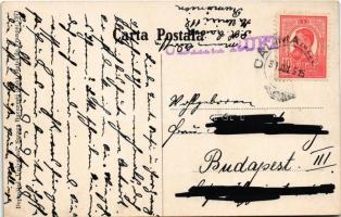 1915 Calimanesti, Calimanesci; Vilele Mihailidis si Stanescu / villas