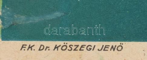 cca 1940 "Fel a Kárpátok bérceire!" irredenta plakát, Németh N. grafikája, Piatnik kiadása...