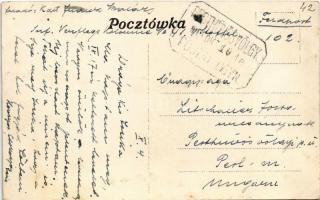 Nowy Wisnicz, Zamek w Wisniczu / castle