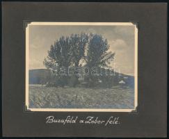 cca 1920-1940 Nyitra környékén készült képek (vár, folyó, búzaföld), 4 db fotó feliratozott albumlap...