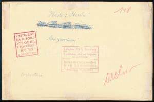 1941 Vágbeszterce, lóverseny előkészületei, hátoldalán feliratozott, pecséttel jelzett, nagyméretű s...