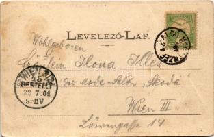 1901 Stószfürdő, Stoósz-fürdő, Kúpele Stós; látkép, nyaralók. Wlaszlovits Gusztáv 1068. / general vi...