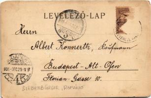 1901 Bürgersfrau in altsächs. Tracht. Siebenbürgische Volkstrachten-Karte Nr. 1. Verl. v. E. W. / Er...