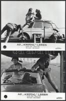 1966 ,,Az Angyal lesen" című francia film jelenetei és szereplői (köztük Jean Marais főszereplő...