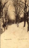 1901 Brassó, Kronstadt, Brasov; Burgpromenade / Vársétány télen / castle promenade in winter (r)
