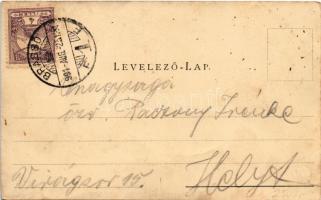 1901 Brassó, Kronstadt, Brasov; Burgpromenade / Vársétány télen / castle promenade in winter (r)