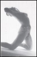 cca 1975 Marinkay István (1920-?) veszprémi fotóművész hagyatékából 7 db vintage DIAPOZITÍV akt felvétel, 36x24 mm