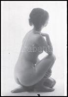 cca 1975 Marinkay István (1920-?) veszprémi fotóművész hagyatékából 7 db vintage DIAPOZITÍV akt felv...