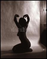 cca 1979 előtt, különböző időpontokban, több fotómodellről készült akt felvételek, 13 db vintage NEG...