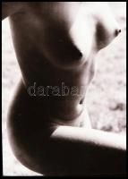 cca 1979 előtt, különböző időpontokban, több fotómodellről készült akt felvételek, 13 db vintage NEG...