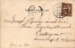 1901 Vác, Korcsolyacsarnok. Divald Károly 356. sz. (EK)