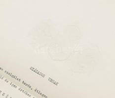 1915-1945 Balkay Jenő, a cs. és kir. 5. vártüzérezred (K. u. k. Festungsartillerieregiment Nr. 5) ha...