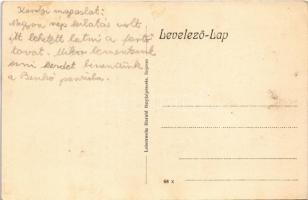 Sopron, Károly-magaslat és kilátó. Lobenwein Harald fényképészete