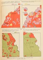 Carte etnografiche rumene e loro critica. Bp., 1942., Istituto dfi Scienze Politiche, 41 p.,+15 t. G...