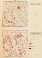 Carte etnografiche rumene e loro critica. Bp., 1942., Istituto dfi Scienze Politiche, 41 p.,+15 t. G...
