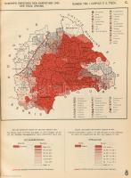 Falsificazioni rumene nelle carte geografiche. Messe in luce dall'istituto di scienze politiche...