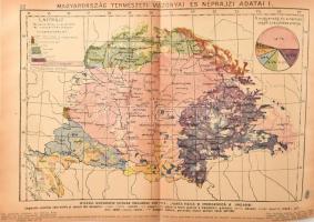 Falsificazioni rumene nelle carte geografiche. Messe in luce dall'istituto di scienze politiche...