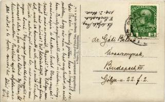 1916 Praha, Prague; Smichov, Pohled z Kinského zahrady / factories