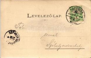 1903 Kaposvár, Széchenyi tér, Vajda Pál üzlete