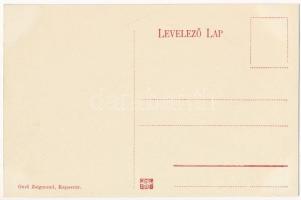 Kaposvár, Izraelita templom, zsinagóga. Gerő Zsigmond kiadása