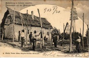 1904 Mohács, Halásztanya a szigeten, halászháló szövés. Weiser Miksa kiadása