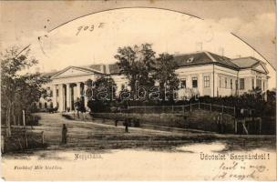 1903 Szekszárd, megyeháza. Fischhof Mór kiadása (EK)