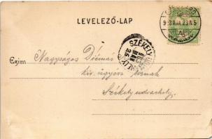 1903 Szekszárd, megyeháza. Fischhof Mór kiadása (EK)