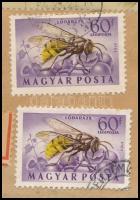 1954 Ajánlott levél Berlinbe küldve 300f vegyes bérmentesítéssel, a Rovarok 60f sárga szín 2 mm-es e...