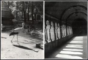 Külföldi nyaralás képei a 70-es évekből, 20 db nagyméretű fotó, 24x18 cm körüli méretben