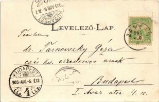 1905 Zamárdi, fasor a Balaton partján (Rb)