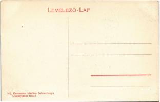 Selmecbánya, Banská Stiavnica; Villatelep. Grohmann 507. / villa alley