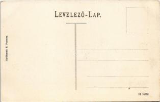 Pozsony, Pressburg, Bratislava; Ferenc József híd. Hardtmuth E. kiadása / bridge