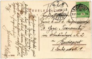 1907 Karánsebes, Caransebes; Katonai kórház, lovaskocsik / Spitalul militar. / military hospital, ho...