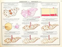 Illyefalvi I. Lajos: A Székesfőváros jelentősége hazánk anyagi és szellemi művelődésében. Bp.,1940.,...